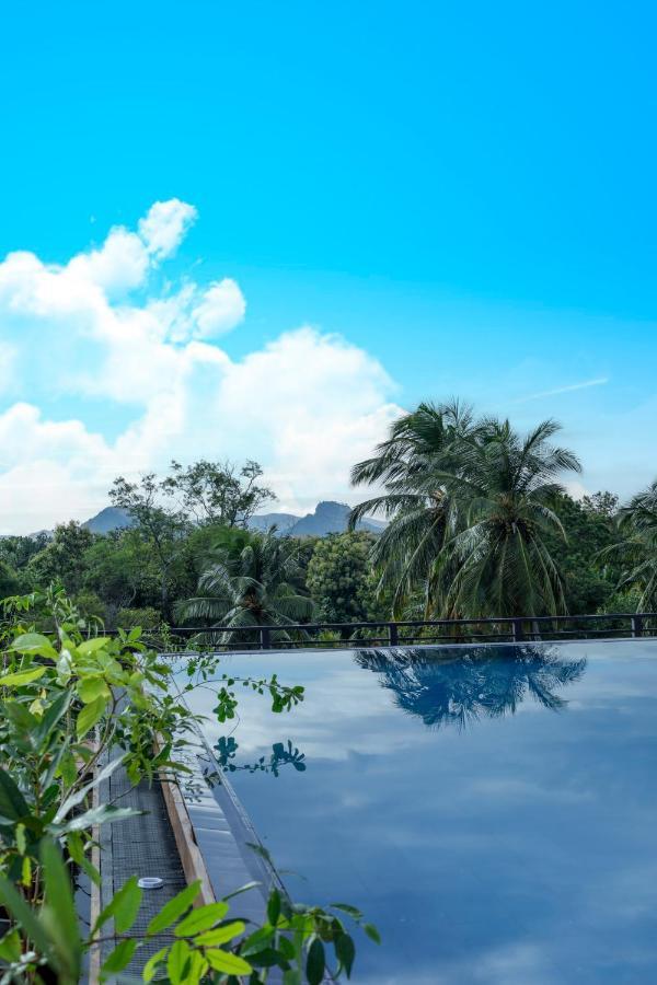 Covanro Sigiriya - Brand New Luxury Hotel ภายนอก รูปภาพ